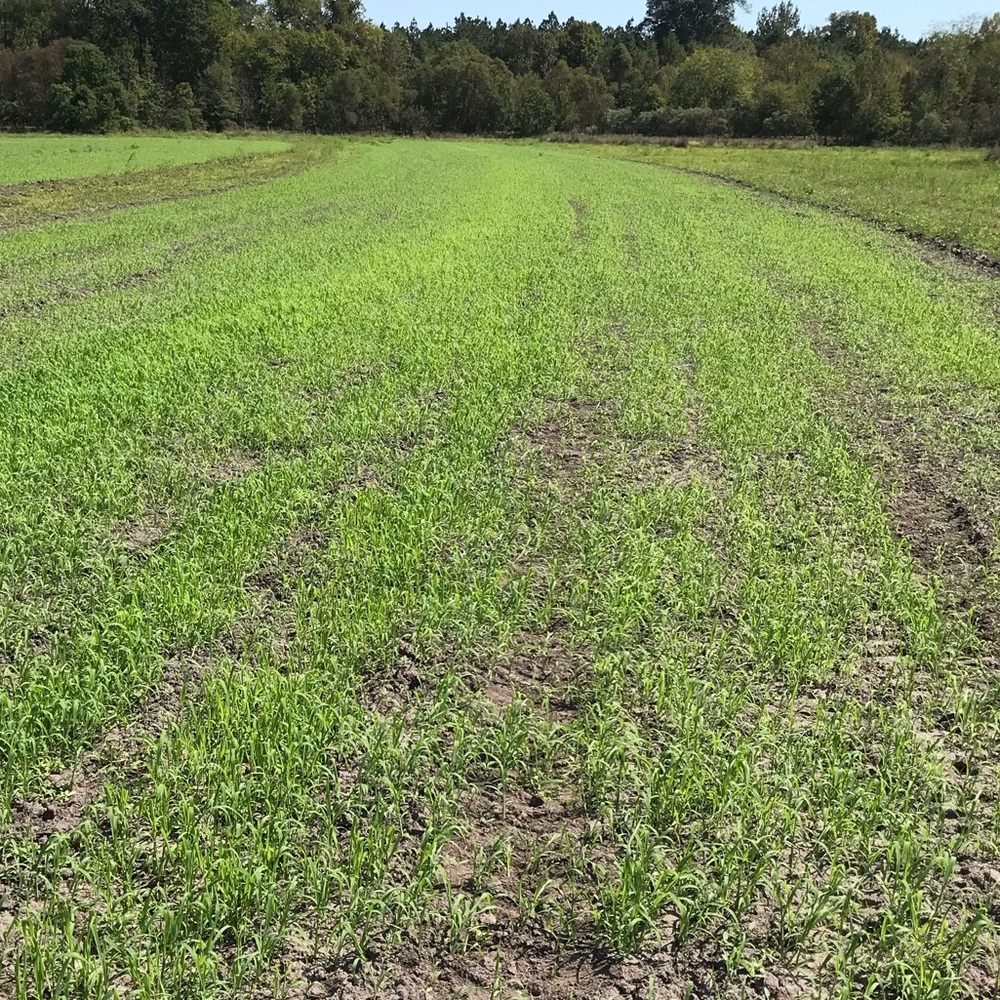 Meet your Posher, Ladson